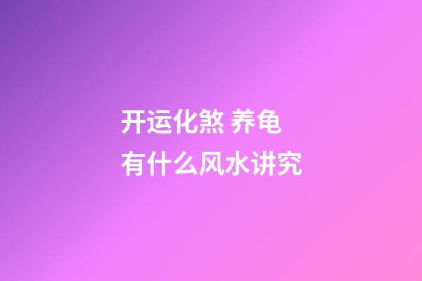 开运化煞 养龟有什么风水讲究